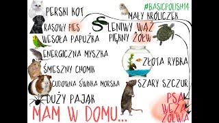 #BASICPOLISH. SAY THAT YOU HAVE A PET AT HOME. NOUNS AND ADJECTIVE IN ACCUSATIVE(14)
