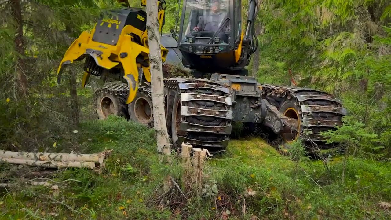 Moipu 300F1 & Ponsse Scorpion