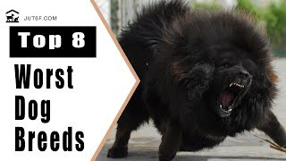 8 Worst Dog Breeds for First Time Owners by Just6F 712 views 6 years ago 6 minutes, 18 seconds