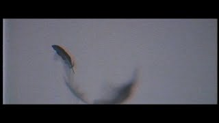 CrowsAlive - Zero Gravity (Official Teaser)