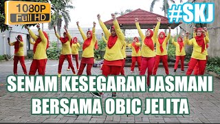 Senam SKJ 2012| Senam Kesegaran Jasmani | SKJ | Bersama Obic Jelita screenshot 4