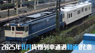 2025年11月貨物列車撮影記録まとめ(EF210、EF65、EH500・他)