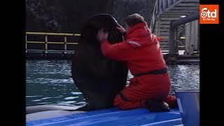 Keiko Learns To Hunt In Iceland (1999)