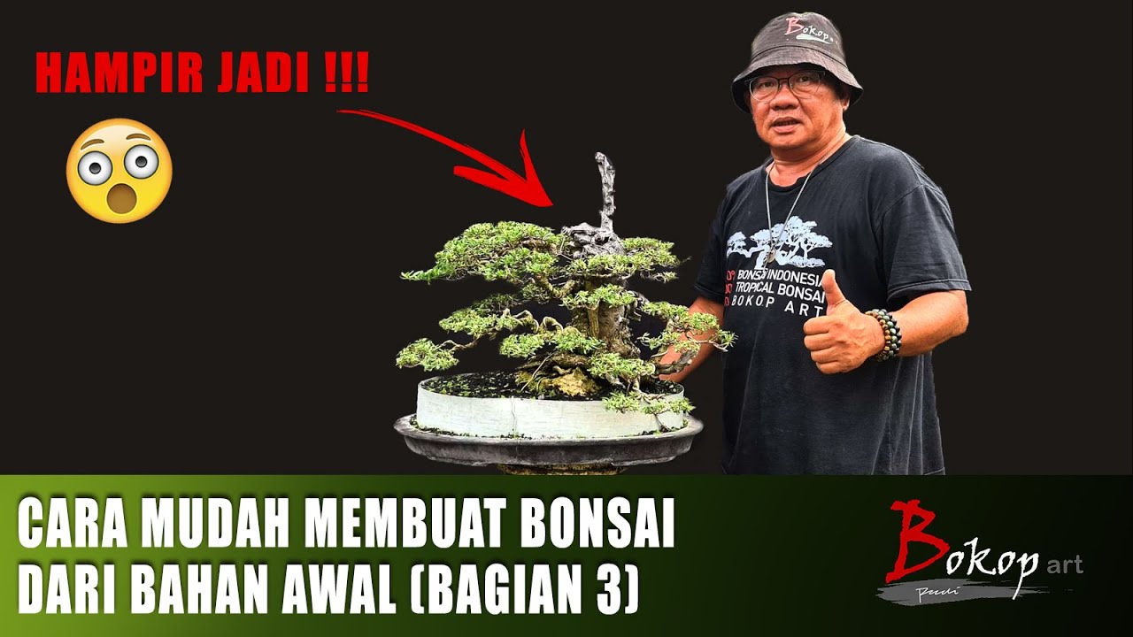 CARA MUDAH MEMBUAT BONSAI DARI BAHAN AWAL (bagian 3)