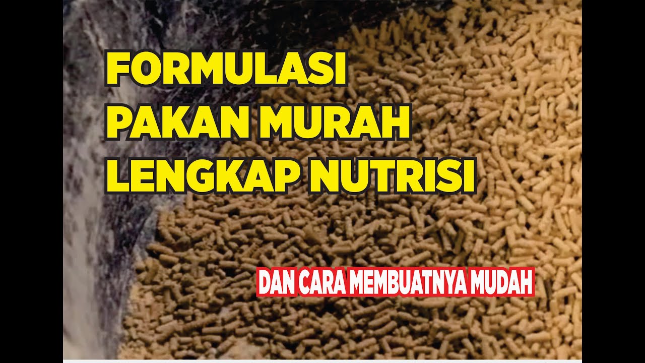RACIKAN PAKAN KOMPLIT NUTRISI DAN CARA MEMBUAT PAKAN LELE MANDIRI DENGAN PROTEIN TINGGI