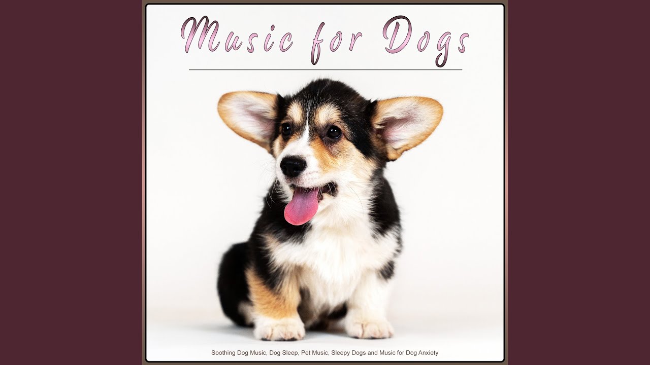 The Best Dog Music YouTube