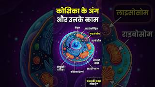 कोशिका के अंदर क्या होता है? 🤔 | Cell Organelles & Functions #shorts #vigyan