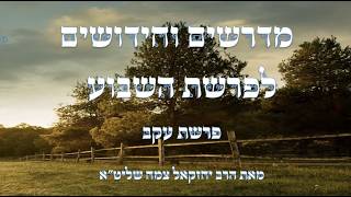 מדרשים מיוחדים ומרתקים לפרשת השבוע  פרשת עקב ||          - נמסר בשנים שעברו