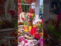 #radhe #radheshyam #mahadev #gurudev #radhavallabh #viral #love #video #shorts #song #music #peace