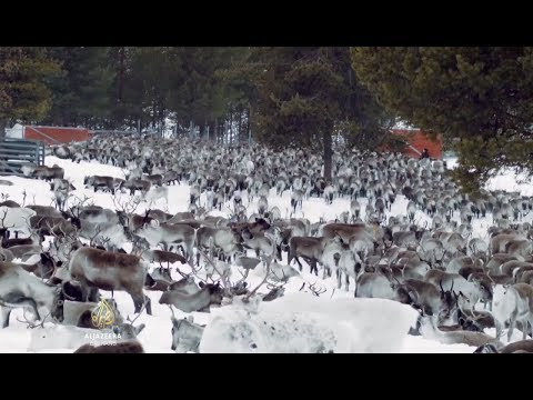 Video: Vrijeme Je Za Nestašicu: Pivu Prijete Klimatske Promjene