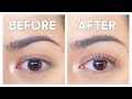 Giving Myself A Lash Perm For The First Time | Lash Lift 2020