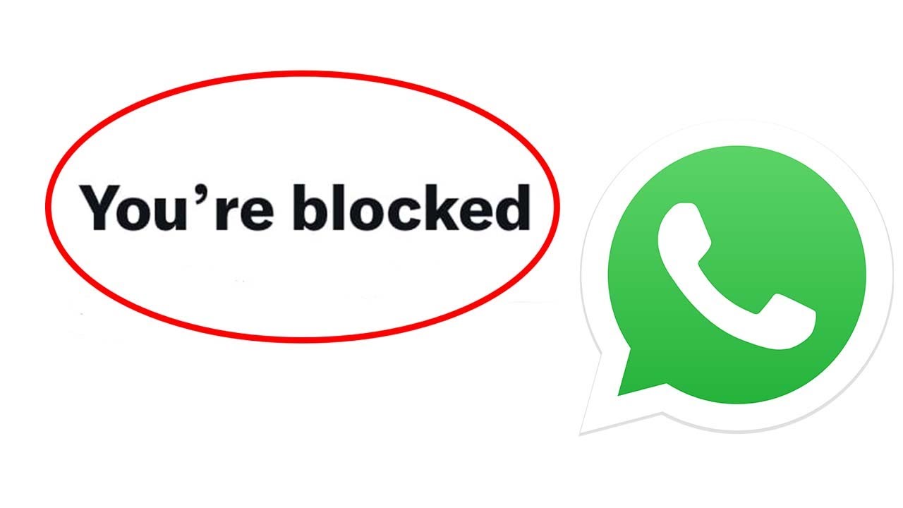 How To Check If You Have Been Blocked On WhatsApp By Someone 2023 How To Check If You Have Been Blocked On WhatsApp By Someone 2023