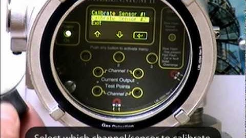 Net Safety Millennium II Combustible Sensors - Zero