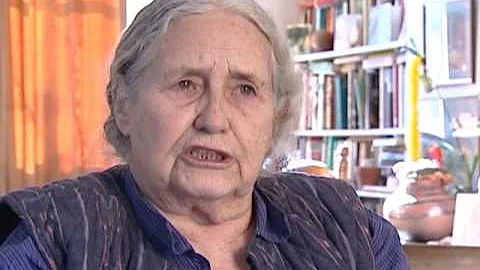 Doris Lessing - Solutions come in dreams (18/26)