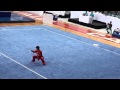 Ryosuke Kishi - japan. World Games Cali 2013 - Wushu Men's Gun shu