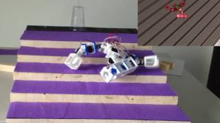 robogen stairmaster