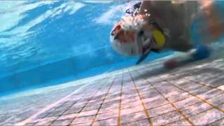 Underwater Hockey - Basic Mechanics And Movements Of A Front Pass