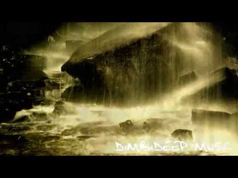 Volunteer - In The Face of the Storm (DimbiDeep Music)