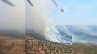 Manisada Orman Yangını