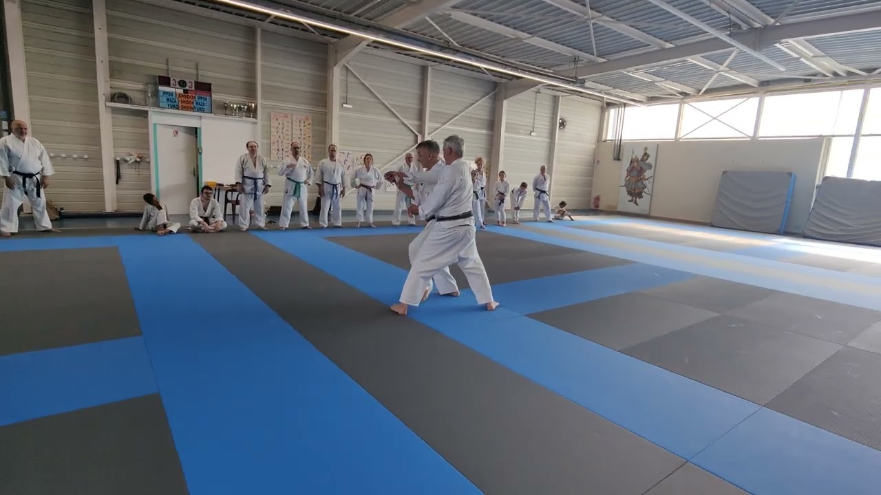 Yamato Kan karaté do : video 2 Stage Adultes du 21 juin 2025