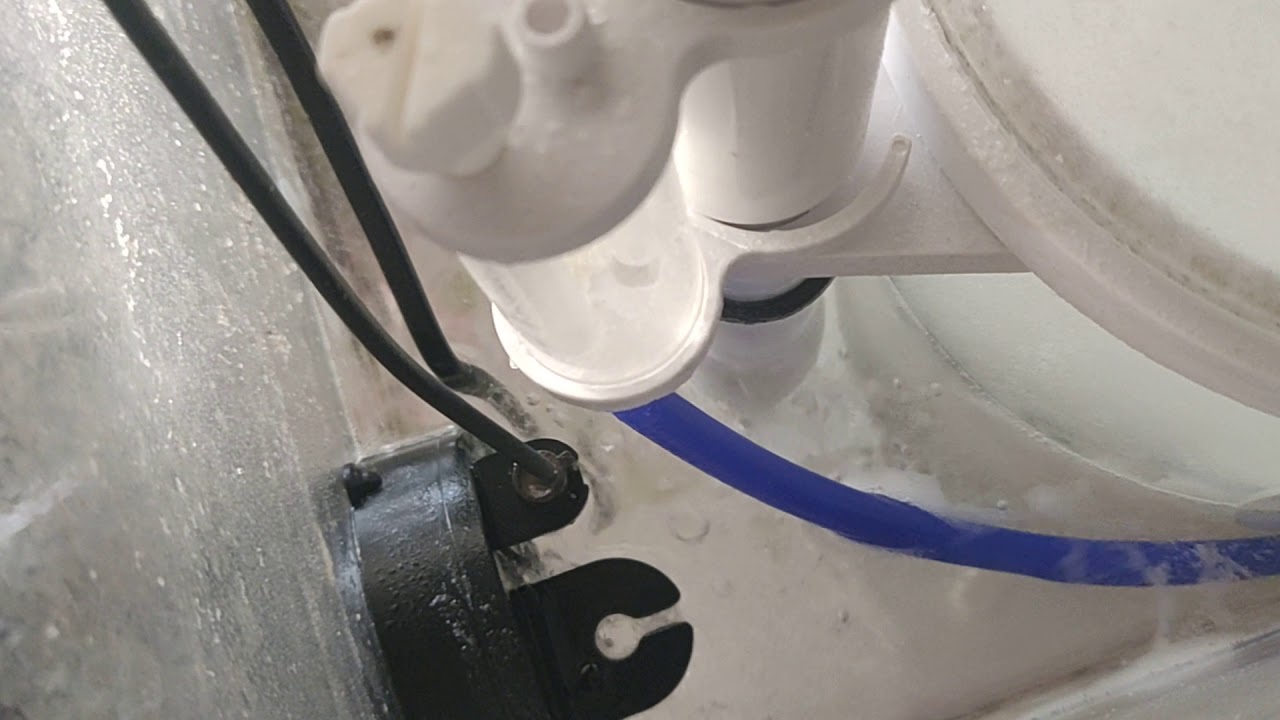 Skimmer bubbles YouTube