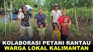 Download Lagu KOLABORASI BERTANI DUA PEMUDA RANTAU ASAL PONOROGO DENGAN WARGA LOKAL KALIMANTAN  MP3