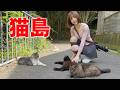 【女ひとり旅】夜行バスで猫島行ってきた！【田代島】