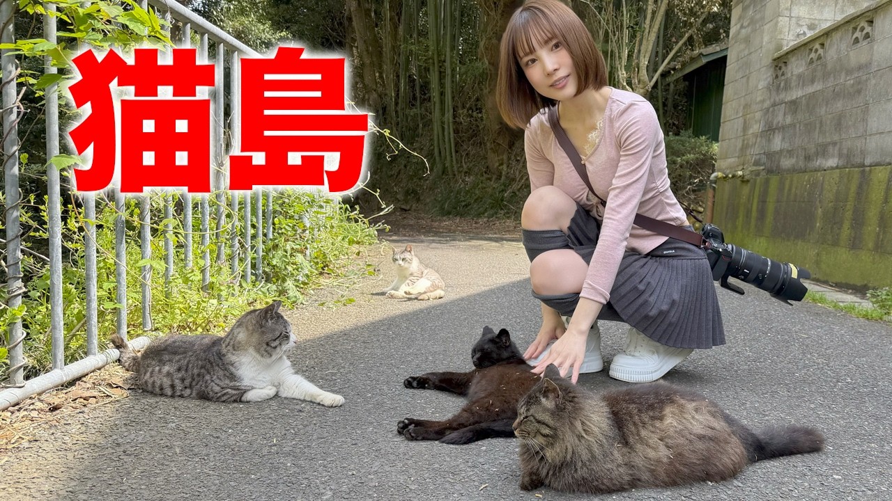 【女ひとり旅】夜行バスで猫島行ってきた！【田代島】