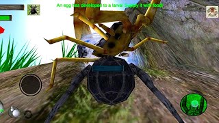 Laba-Laba Tarantula vs Kalajengking vs Lebah tawon vs Cengcorang | Spider Simulator screenshot 2