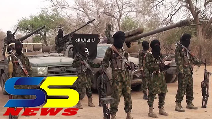 Nigerian military kills nine Boko Haram fighters in North East