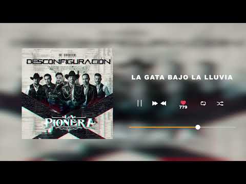 La Pionera - La Gata Bajo La Lluvia - Desconfiguración  (Audio)