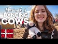 Denmark's Dancing Cows!!
