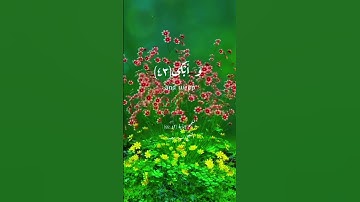 وَأَنَّ إِلَىٰ رَبِّكَ الْمُنتَهَىٰ #سيد_سعيد #تلاوة_مميزة #اكسبلور #quran #explore