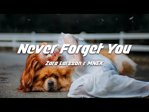 Zara Larsson, MNEK - Never Forget You (Lyrics)