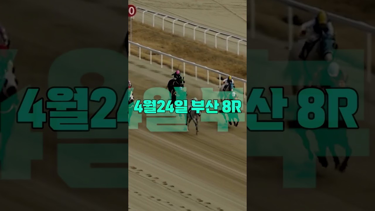 2026년 4월24일[금요경마] 삼복 중심은??