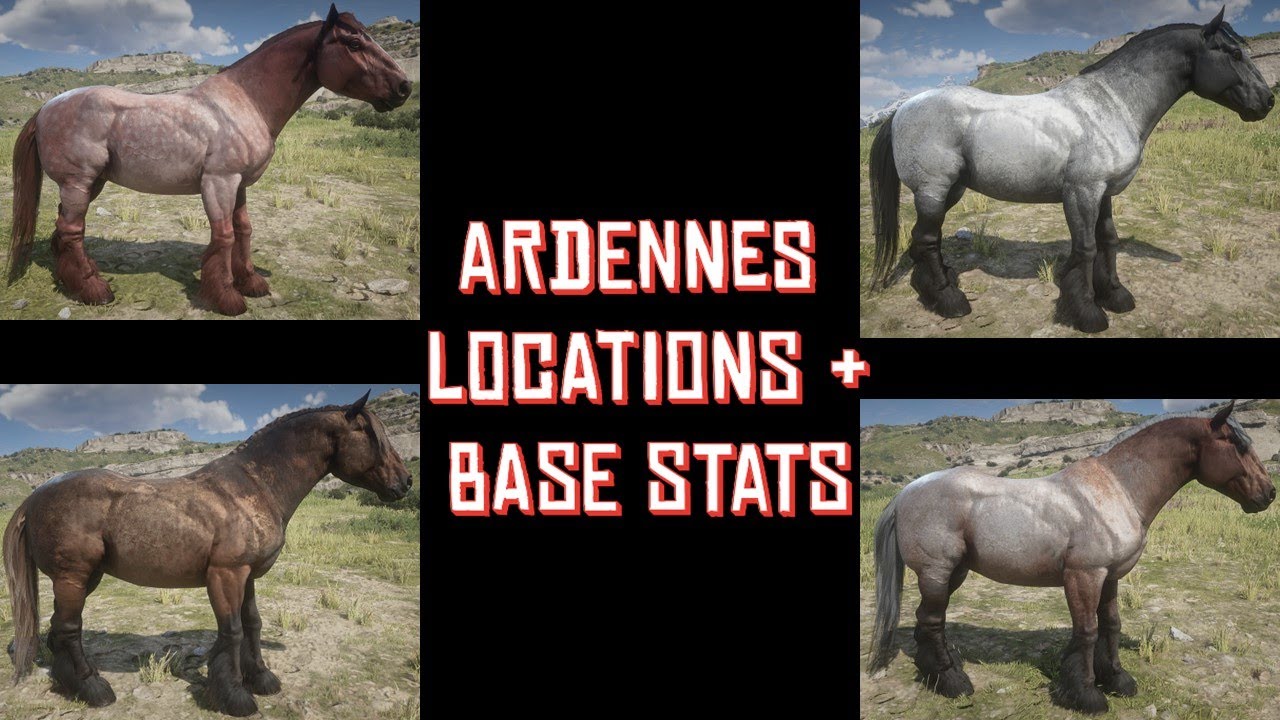 ARDENNES LOCATIONS & BASE STATS (EASY WAY) | RED DEAD REDEMPTION 2 ...