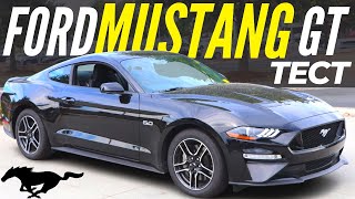 Mustang GT 5.0 на механике - это любовь! Тест Форд Мустанг