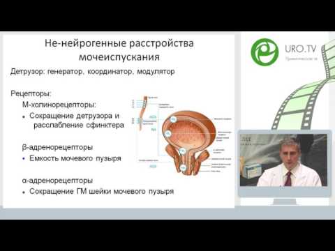 Корнеев И А - Нарушение мочеиспускания у мужчин: эпидемиологические данные в РФ и подходы к лечению