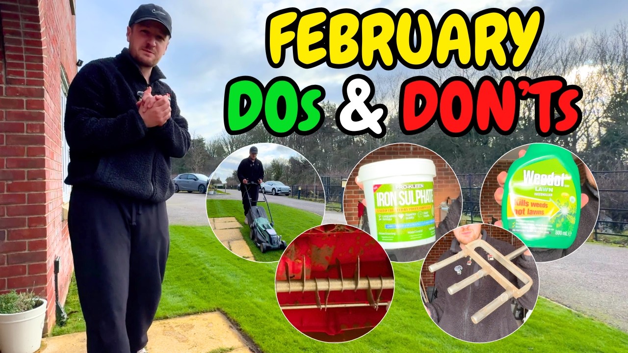 Единственное руководство по уходу за газоном в феврале, которое вам понадобится (Что ДЕЛАТЬ - Чег...