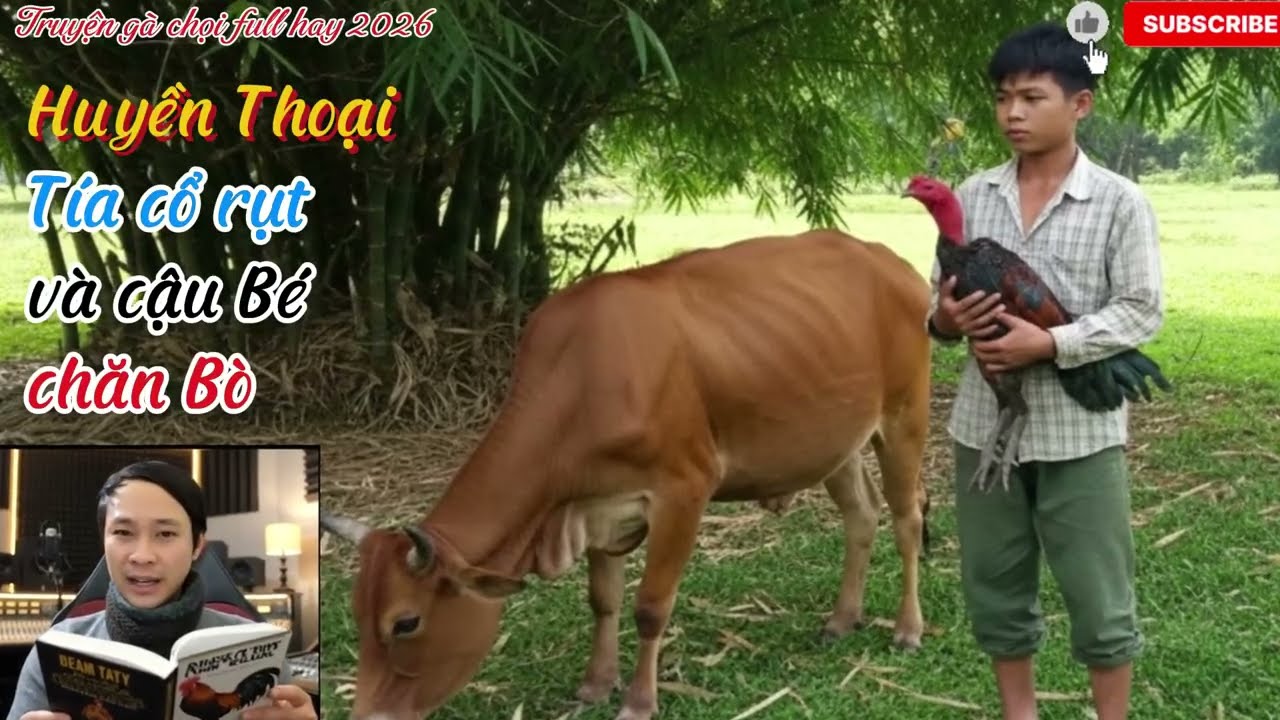 Cậu bé chăn bò và huyền thoại tía cổ rụt_từng bị coi là phế vật đến vinh quang toàn tỉnh miền trung.