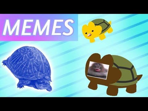 Fourtle memes - Fourtle memes