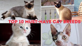 Unleash the Cuteness: Top 10 Cat Breeds That Will Steal Your Heart!