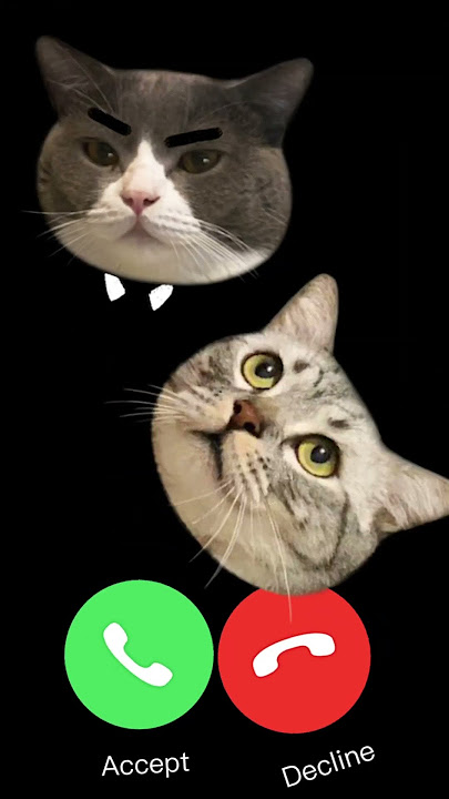 🔇MI TELEPON SOUND EFFECT THREE  CAT EP.33🔇 #ringtone #smartphone #ringtones