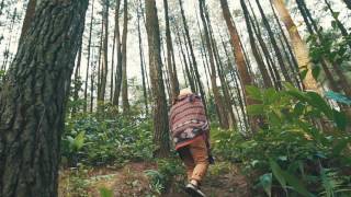 Teaser Festival Musik Melodi Alam 2017