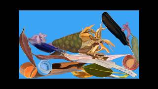 Collected, Adelaide Parklands 2023