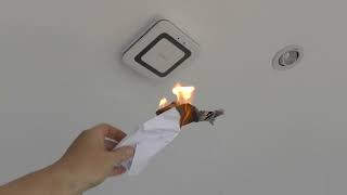 BOSCH Smarthome TwinGuard Smoke Alarm? TEST IT !!!!!