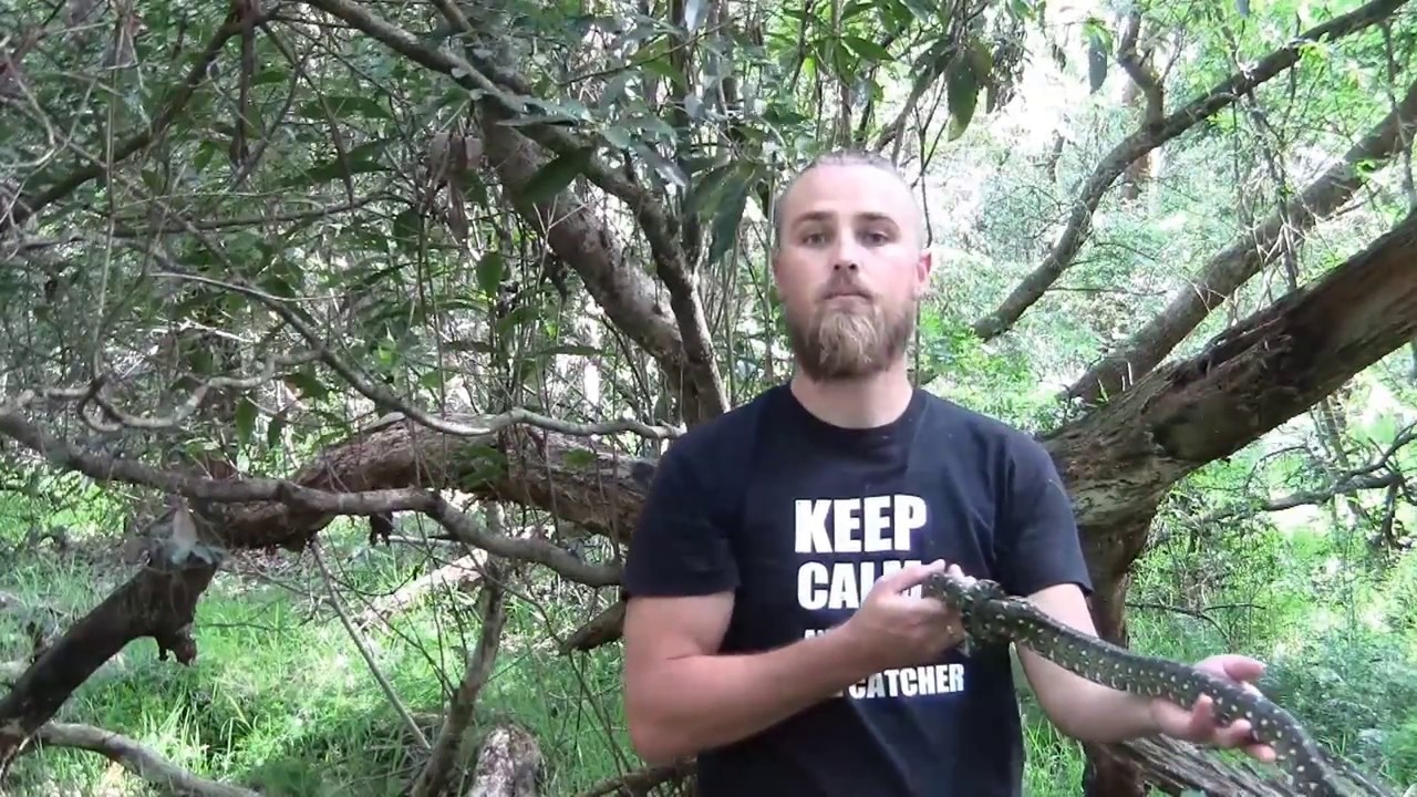 Diamond Python Release narrowly misses biting catchers face! - YouTube