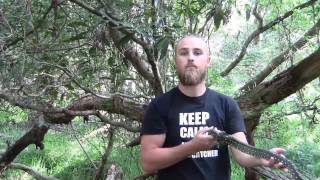 Diamond Python Release narrowly misses biting catchers face! Profile