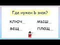 Задание на грамотность! Мягкий знак Ь после шипящих на конце имен существительных