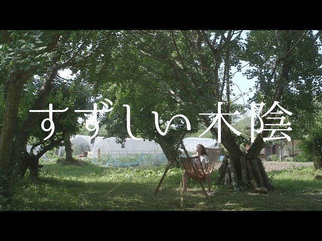 映画『すずしい木陰』予告編